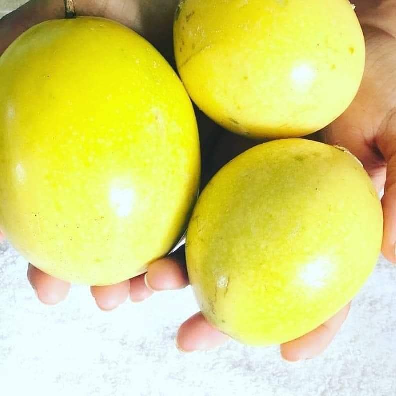 Parcha Fruta Fresca (Precio x Libra) – Finca Noa